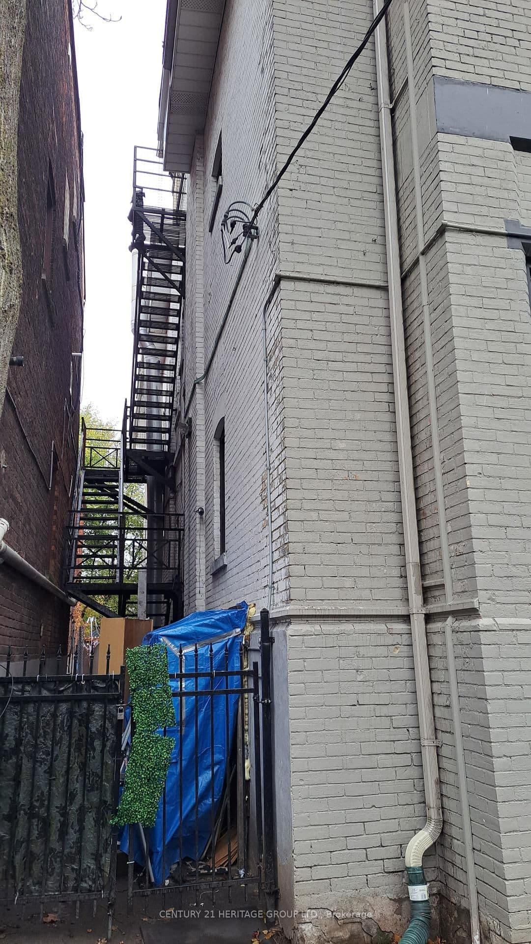 109 Pembroke Street thumbnail 21