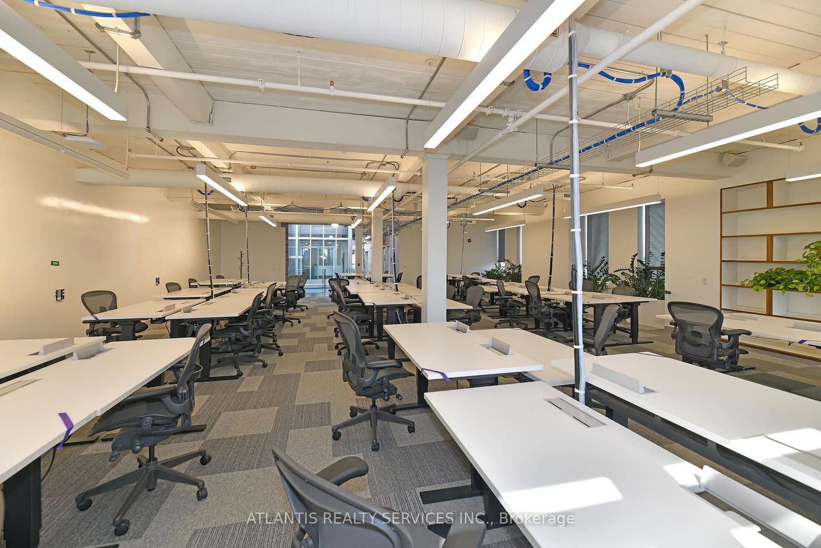 243 College Street, Unit 400/500 thumbnail 5