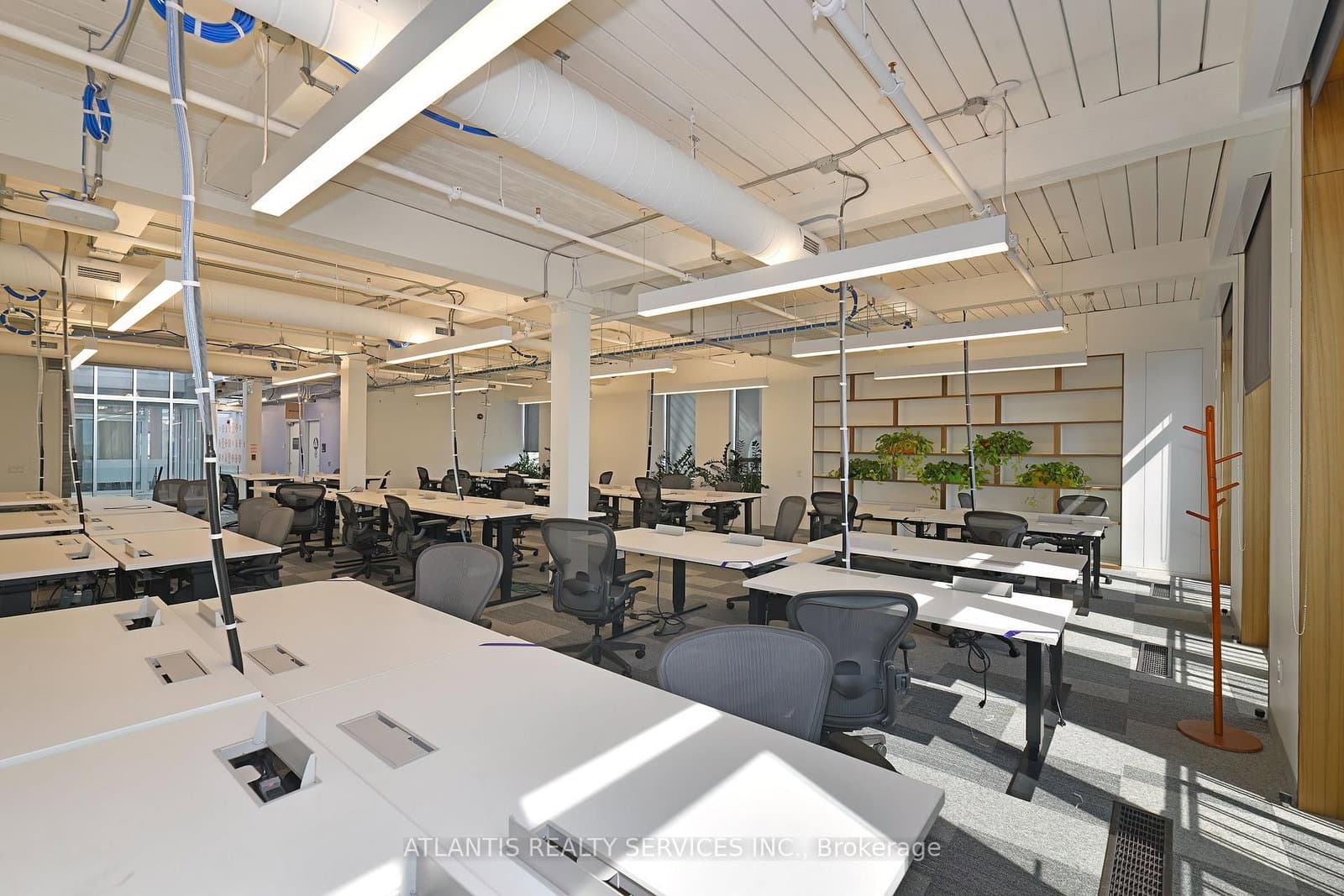 243 College Street, Unit 400/500 thumbnail 6