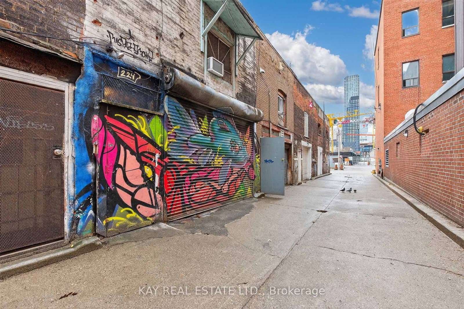 224 Queen Street E thumbnail 30
