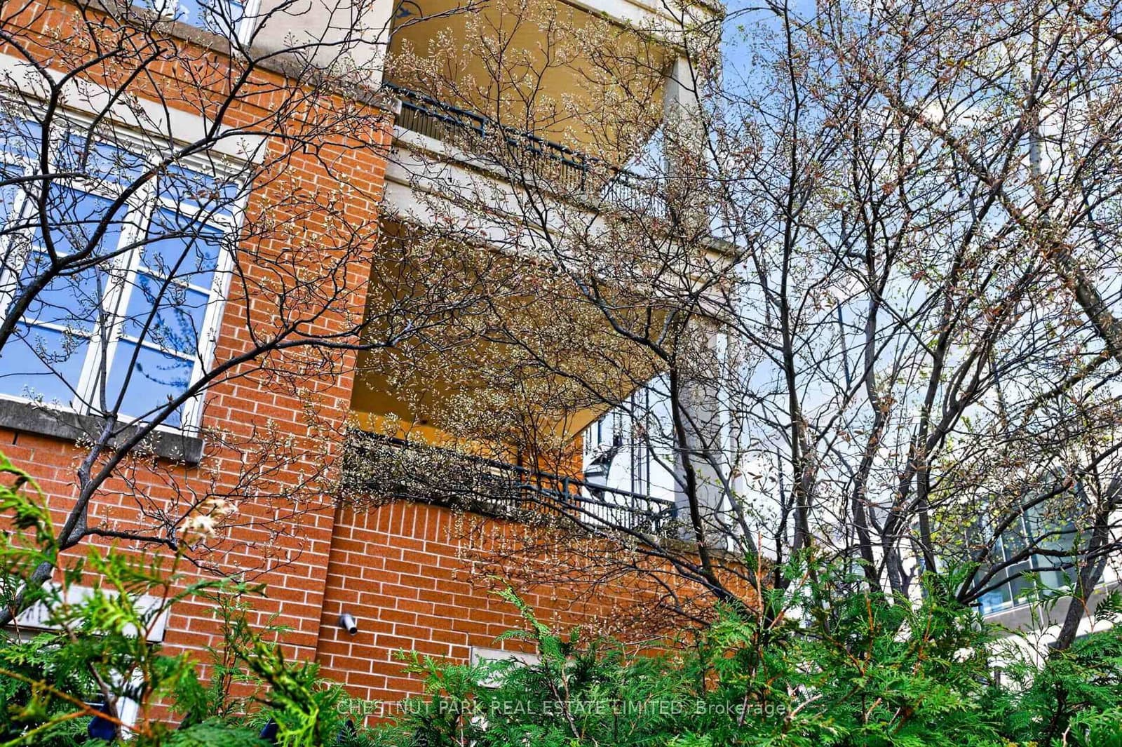 21 Shaftesbury Avenue, Unit 203 thumbnail 3