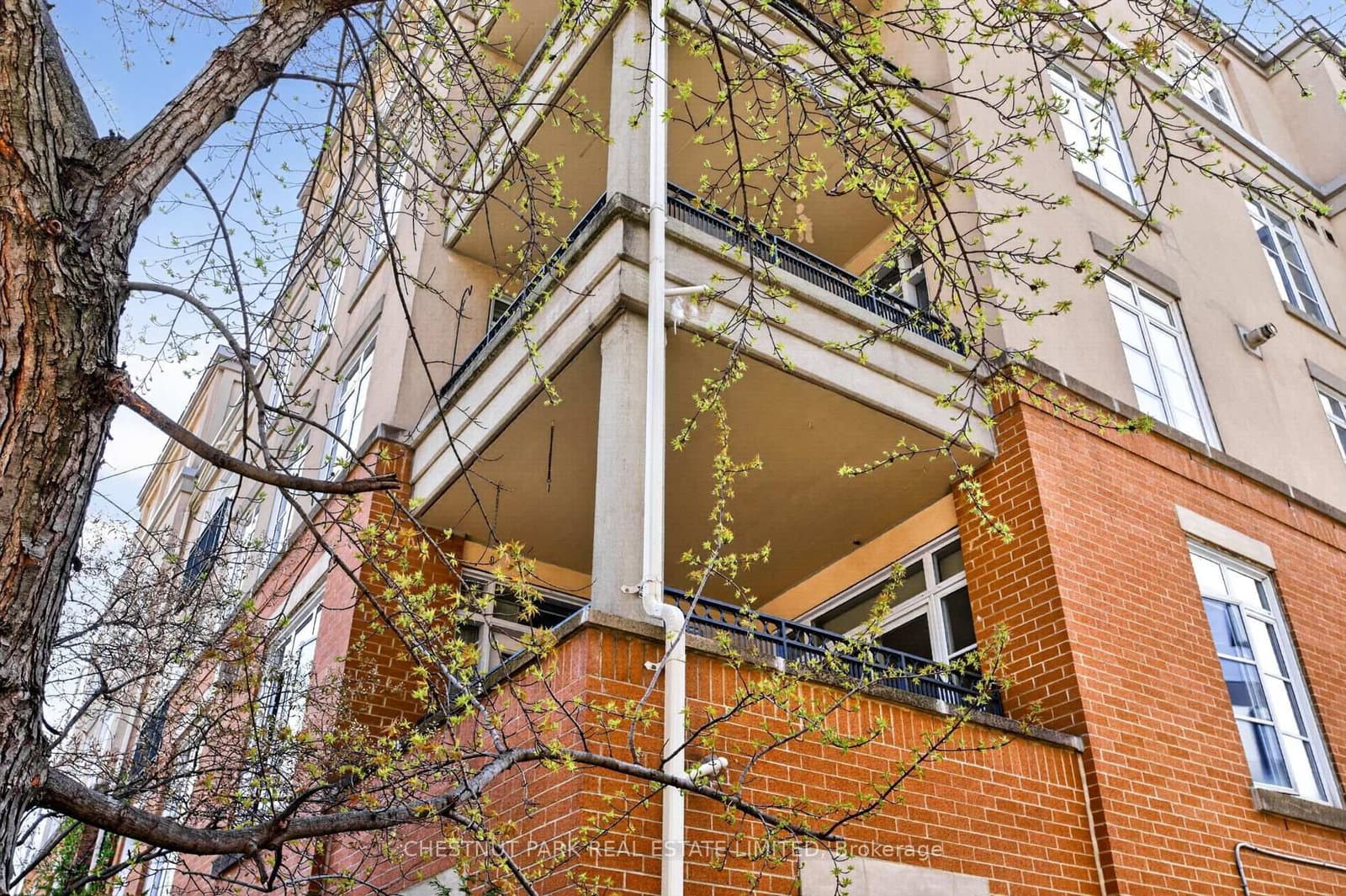 21 Shaftesbury Avenue, Unit 203 thumbnail 45