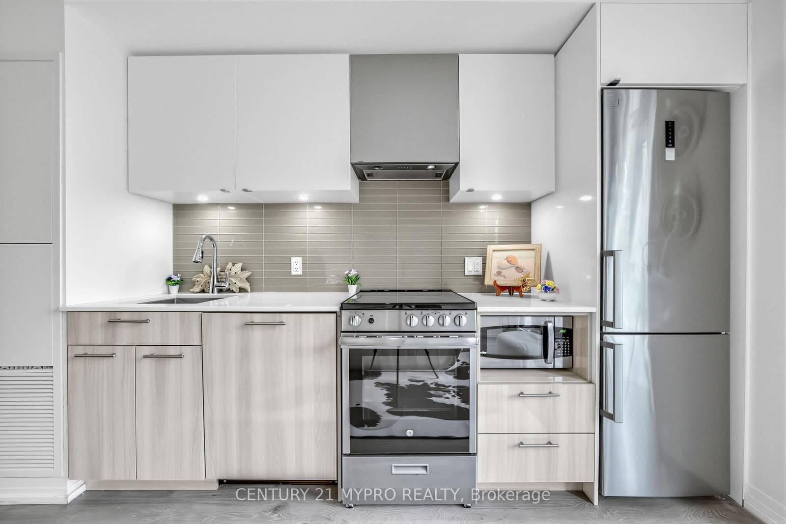251 Jarvis Street, Unit 315 thumbnail 19