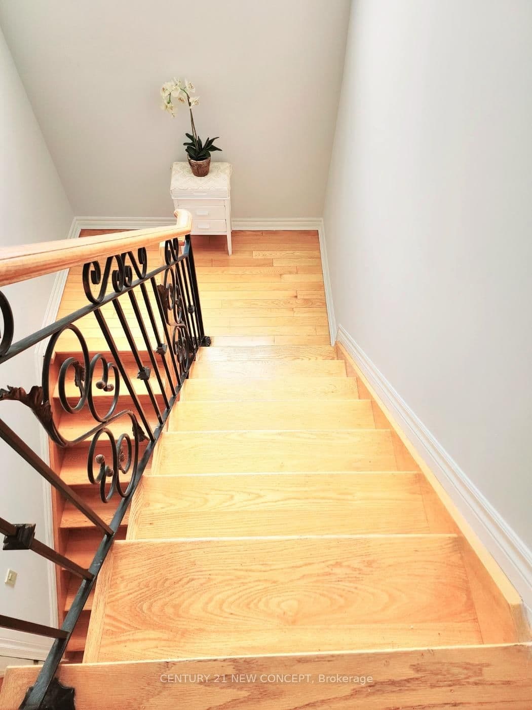 24 Abitibi Avenue thumbnail 18