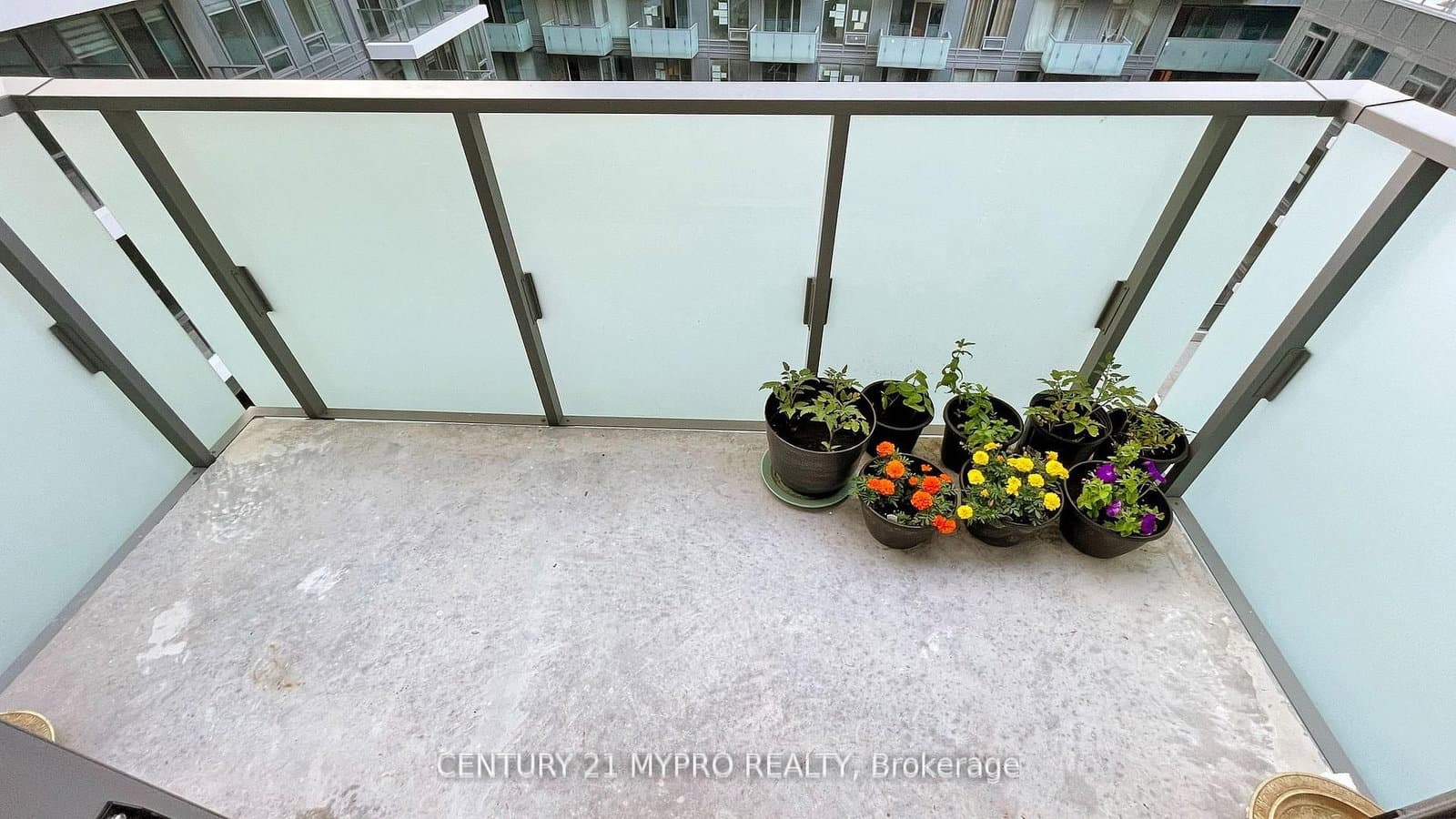 8 Olympic Garden Drive, Unit S803 thumbnail 35