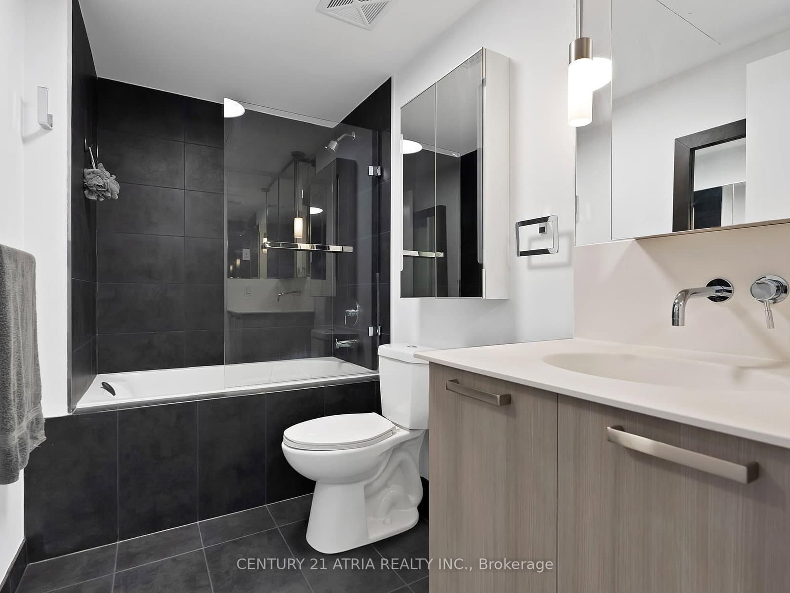 95 Bathurst Street, Unit 318 thumbnail 5
