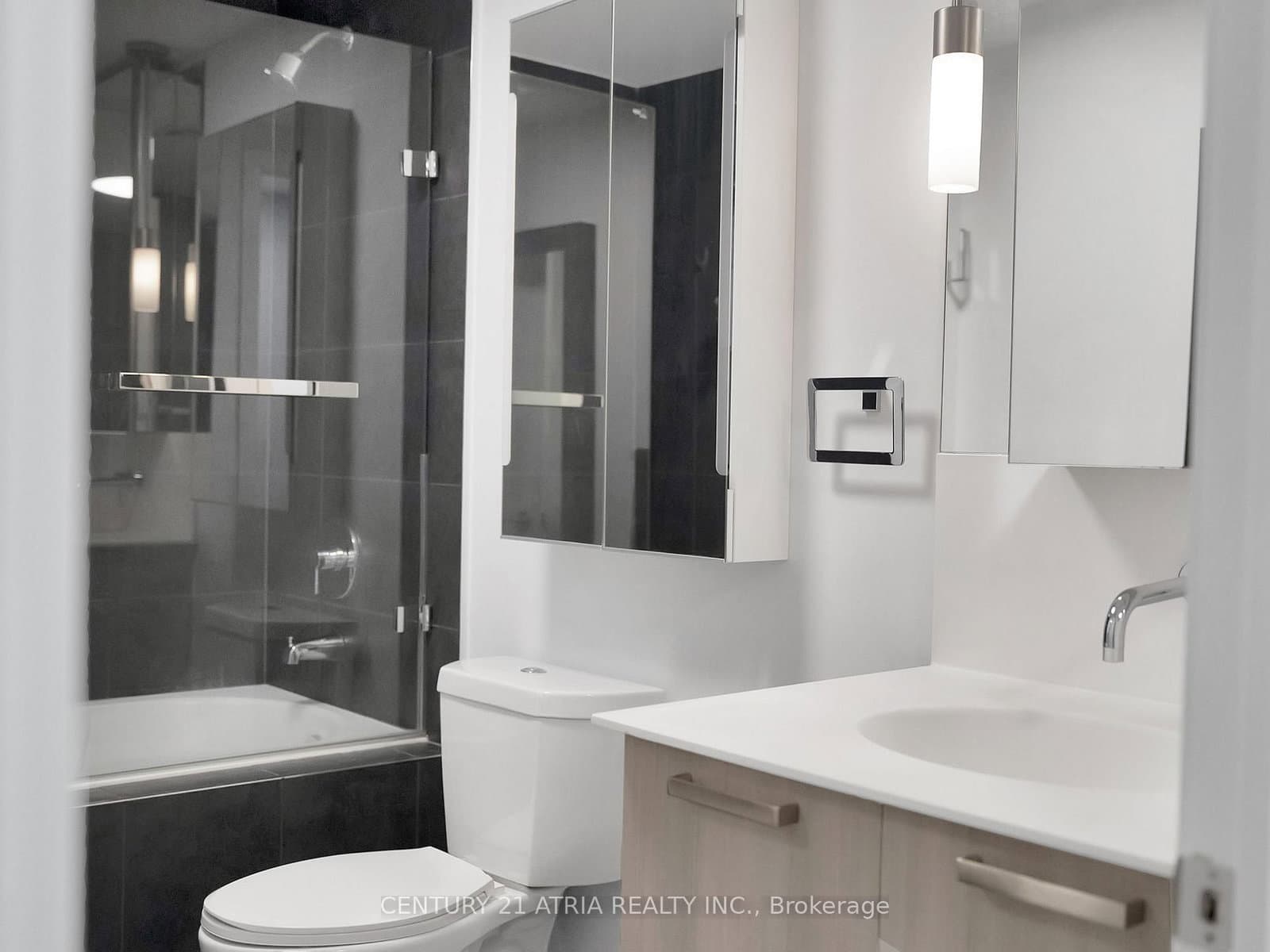 95 Bathurst Street, Unit 318 thumbnail 6