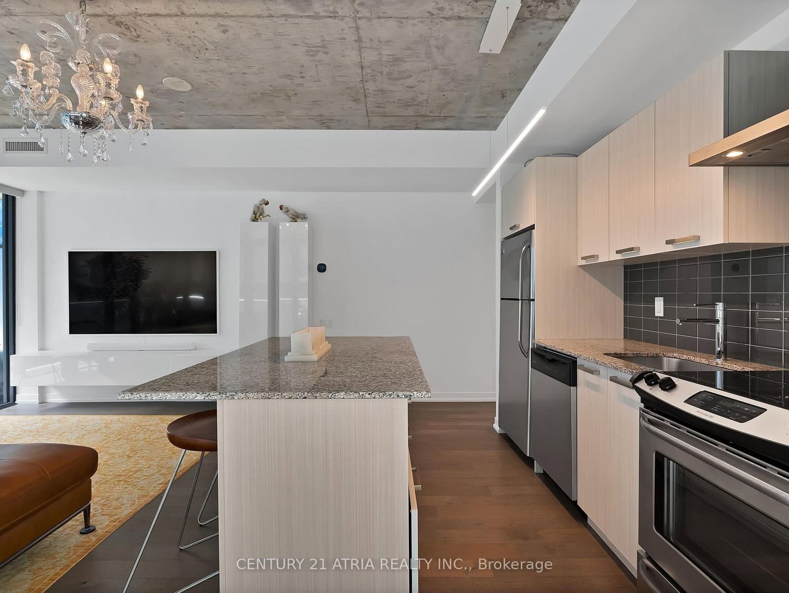 95 Bathurst Street, Unit 318 thumbnail 8