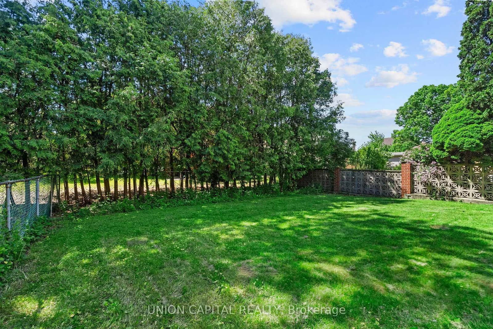 99 Abitibi Avenue thumbnail 25