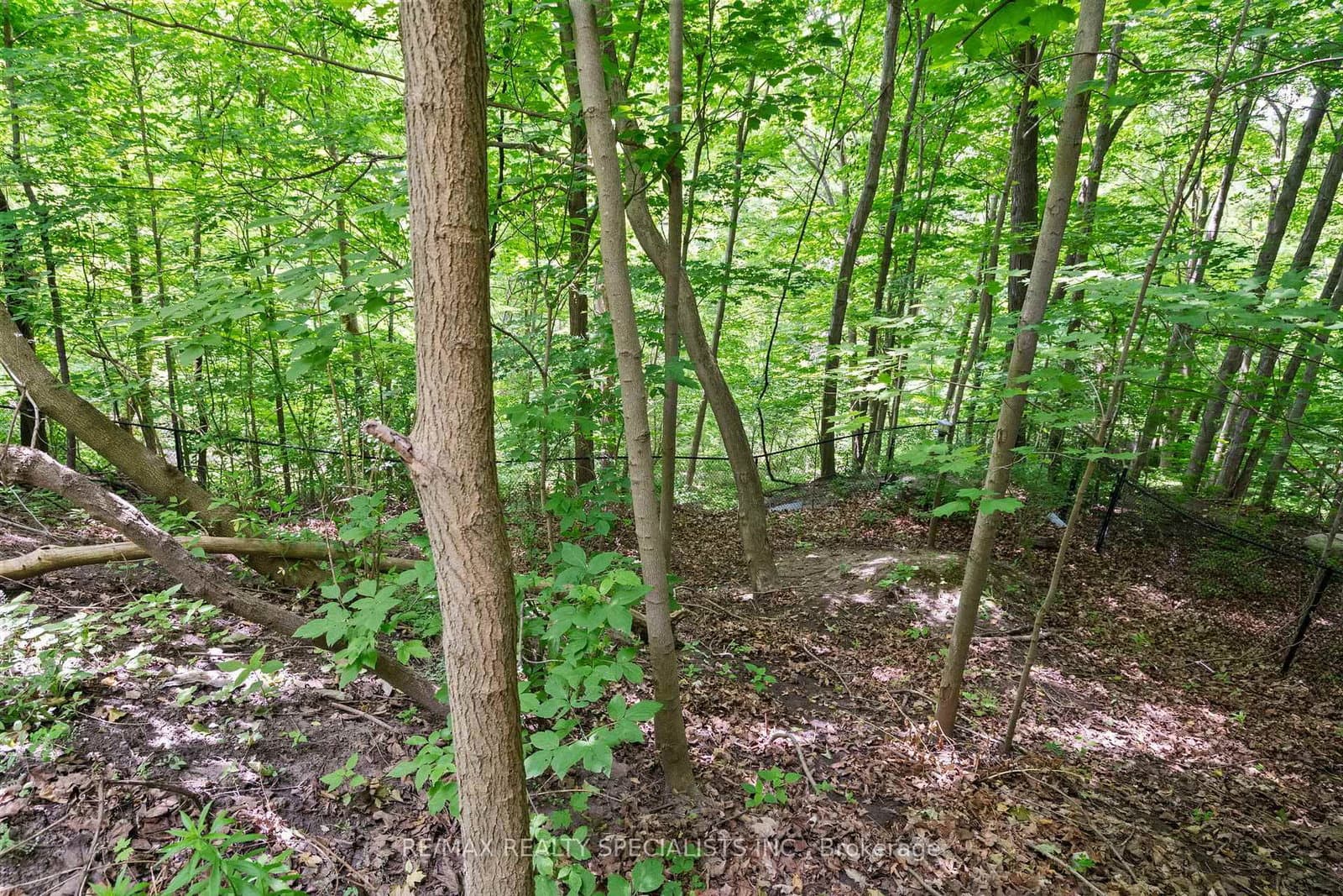 42 Heathview Avenue thumbnail 40