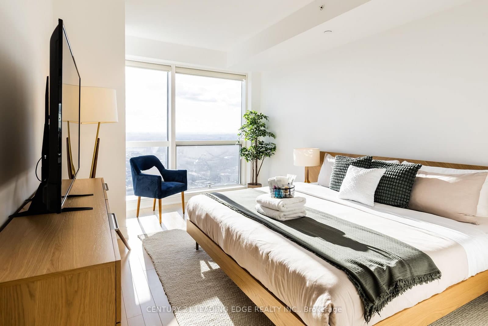 388 Yonge Street, Unit 7310 thumbnail 8