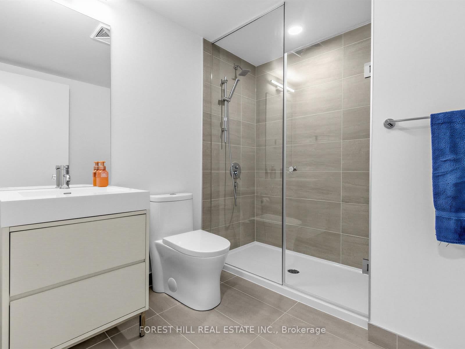9 Tecumseth Street, Unit 807 thumbnail 12