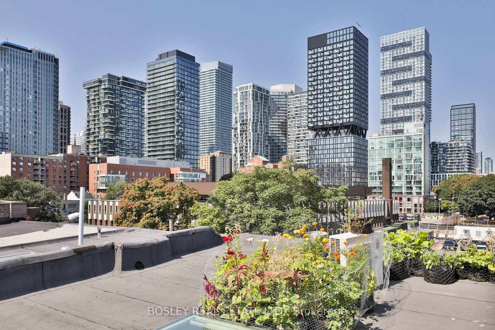 179 Queen Street E thumbnail 43
