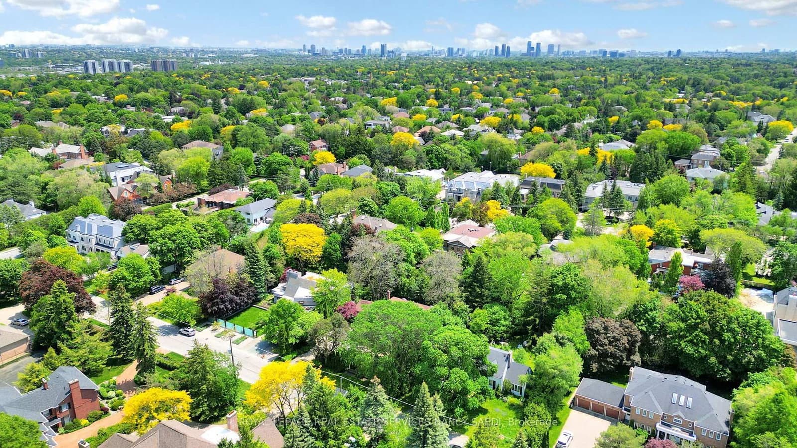21 Forest Heights Boulevard thumbnail 50