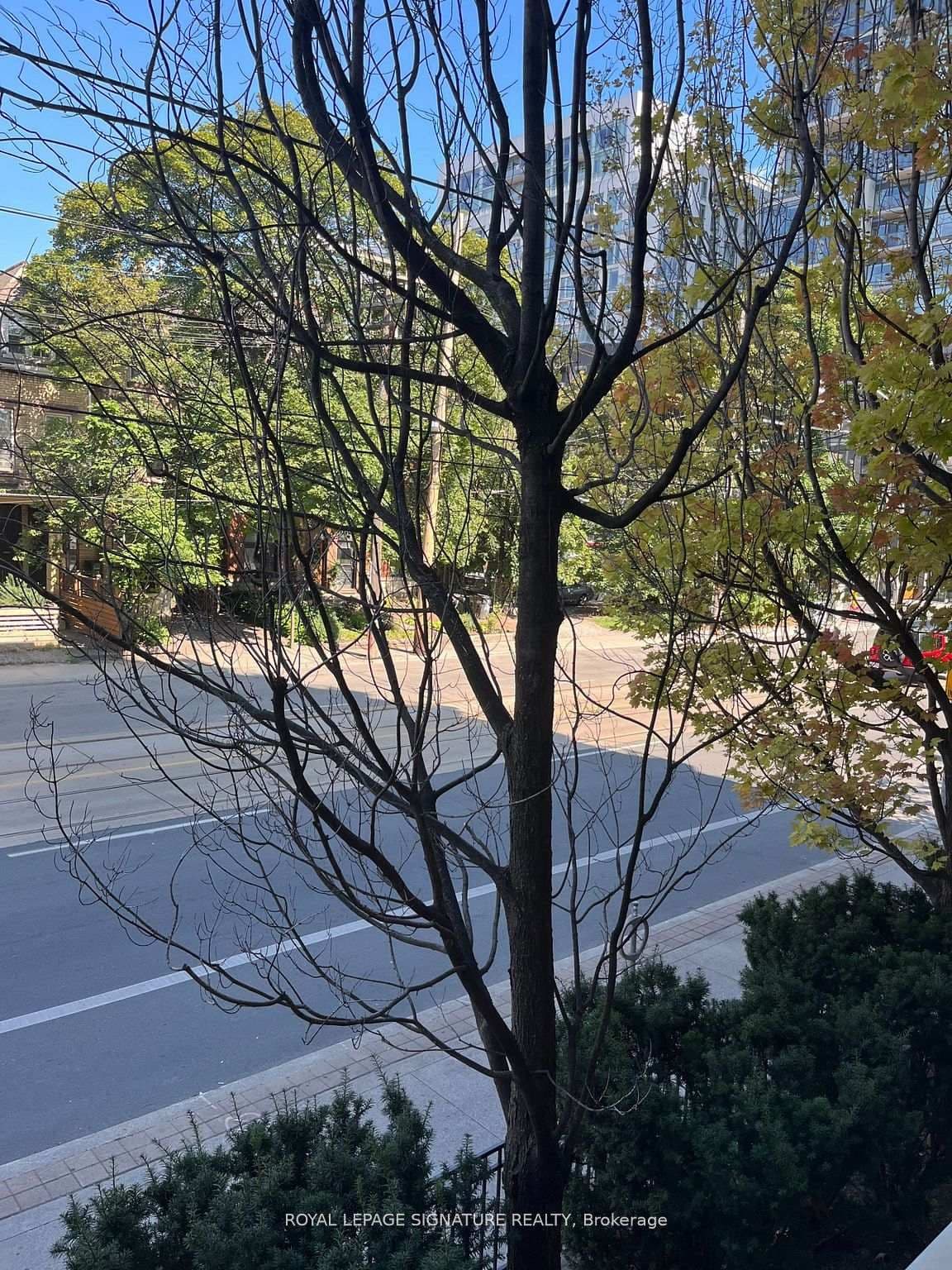 140 Bathurst Street, Unit 207 thumbnail 19