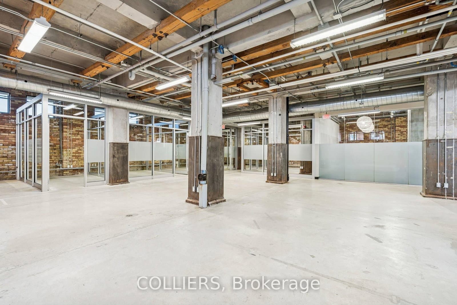 334 King Street E, Unit Lower Floor thumbnail 12