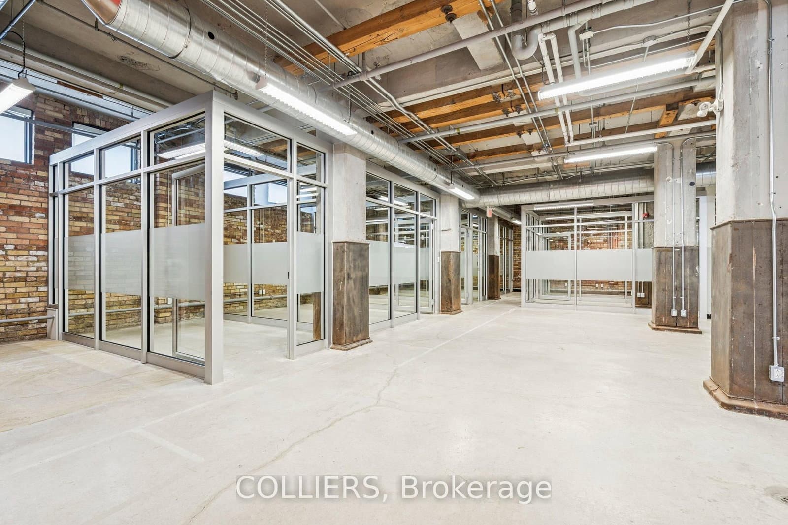 334 King Street E, Unit Lower Floor thumbnail 14