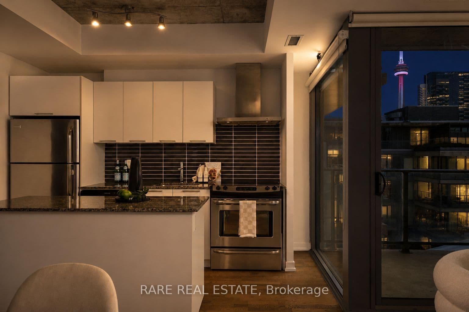 95 Bathurst Street, Unit 919 thumbnail 4