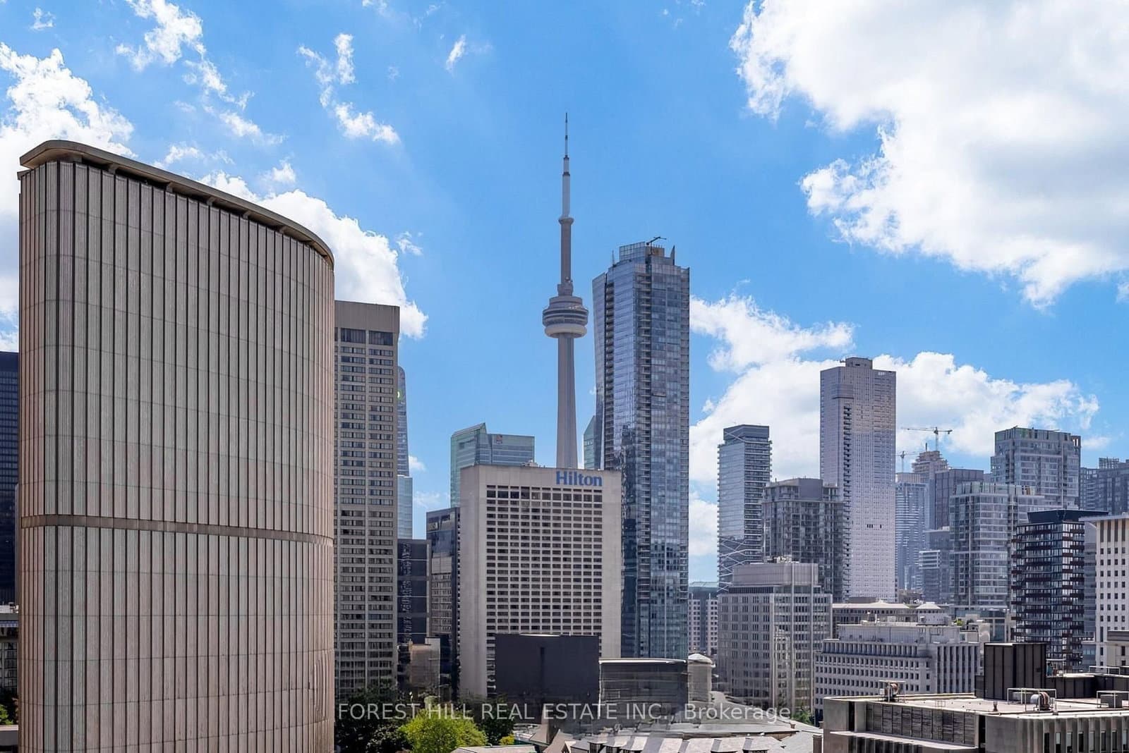 111 Elizabeth Street, Unit 917 thumbnail 12