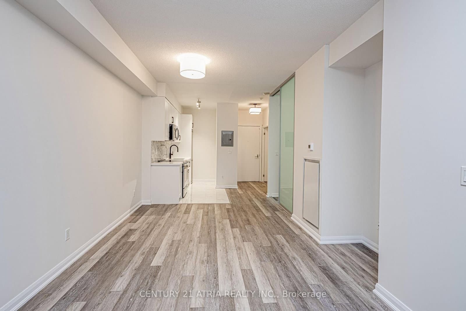111 Elizabeth Street, Unit 1117 thumbnail 4