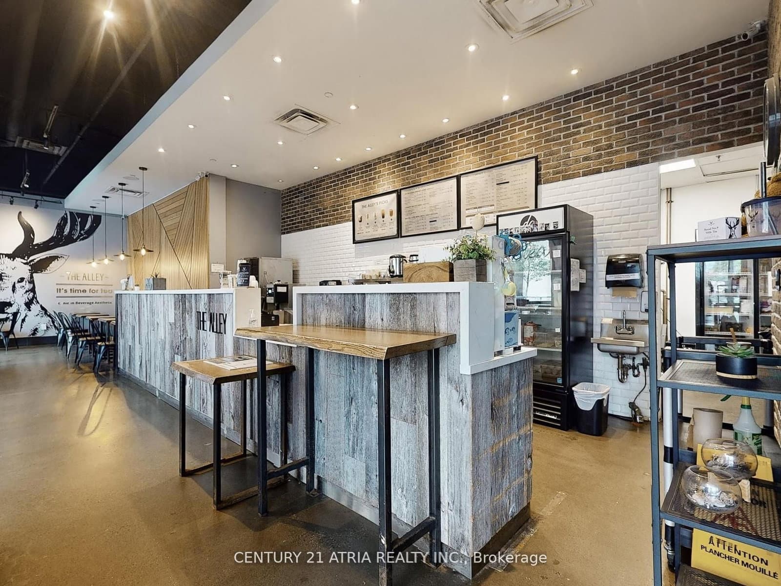 382 Yonge Street, Unit 1 thumbnail 17