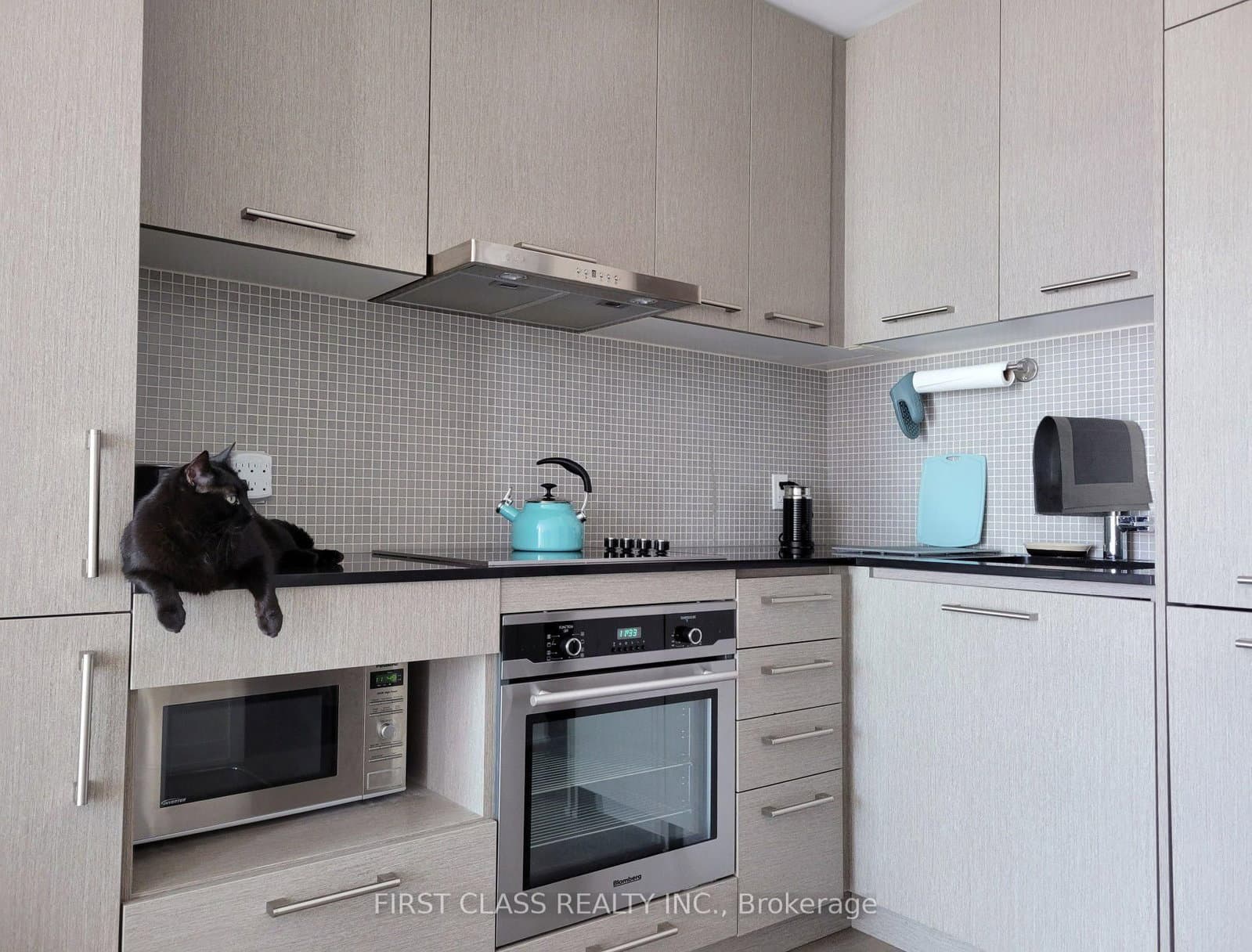 87 Peter Street, Unit 3901 thumbnail 8
