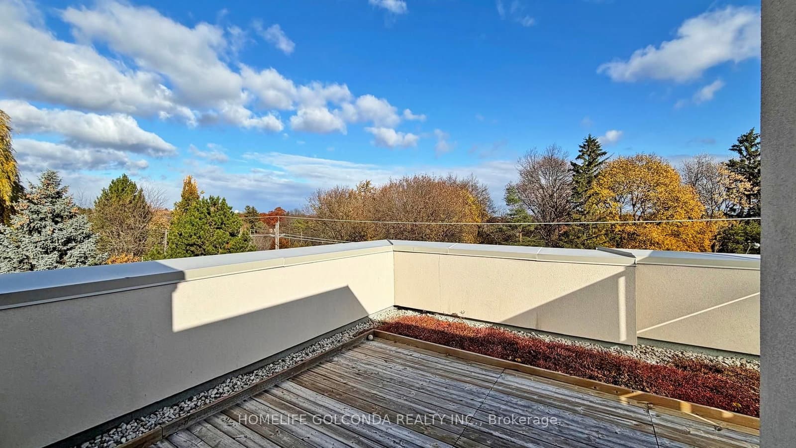 2466B Bayview Avenue thumbnail 45