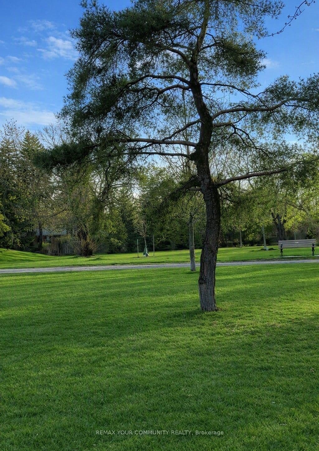98 Wigmore Drive thumbnail 17