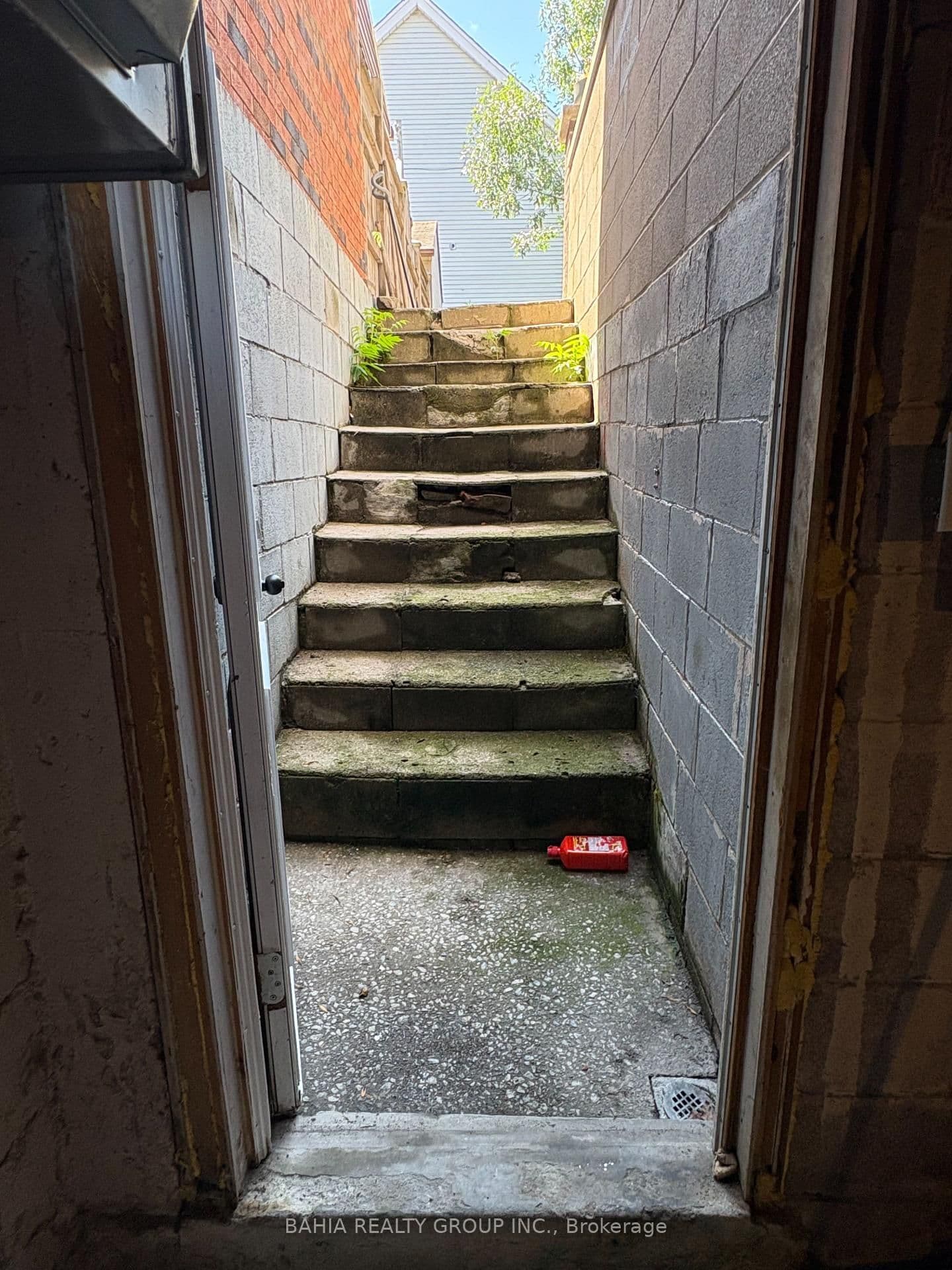 687 Richmond Street W thumbnail 14