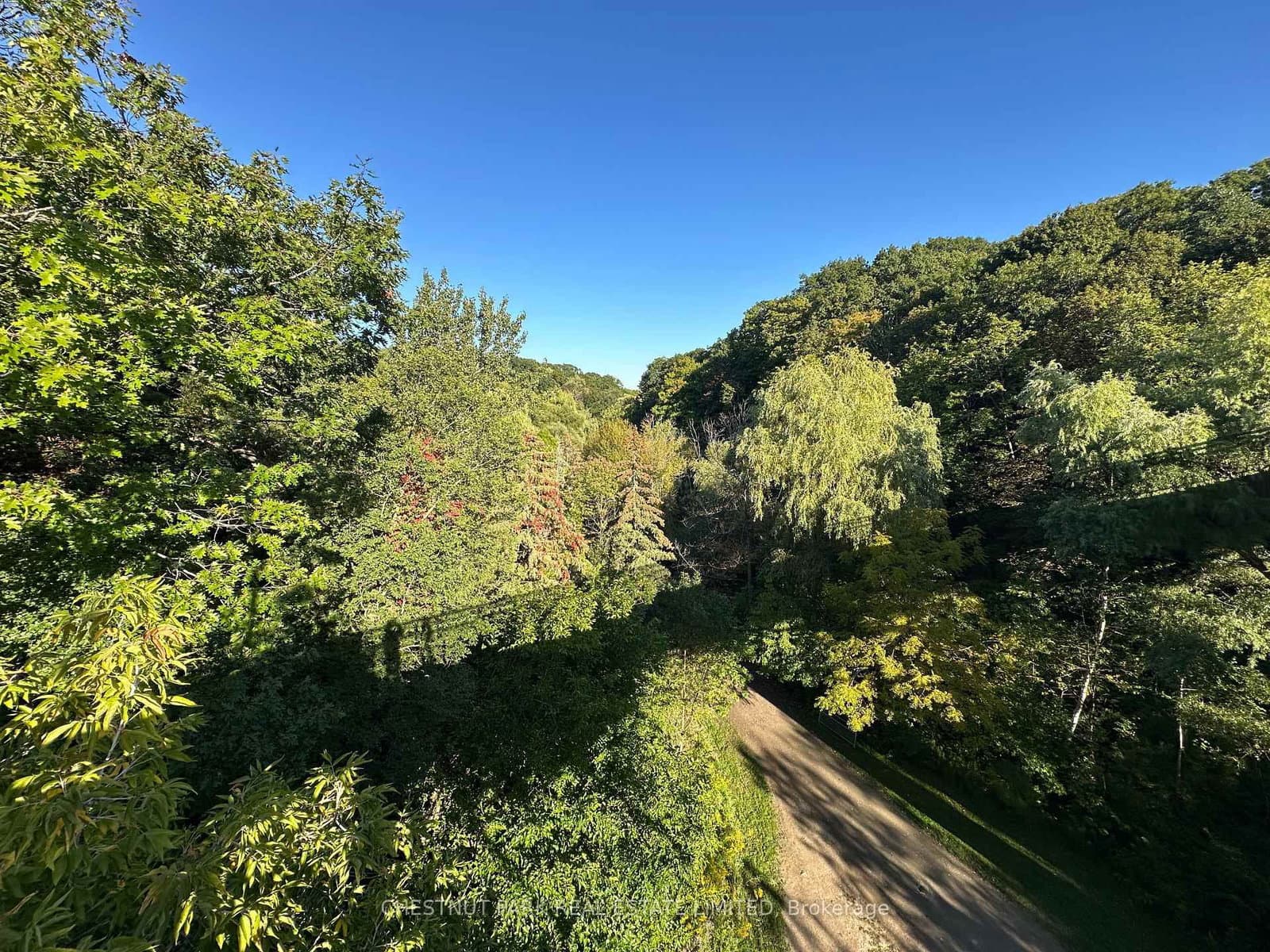 1648 Bathurst Street, Unit 5 thumbnail 43