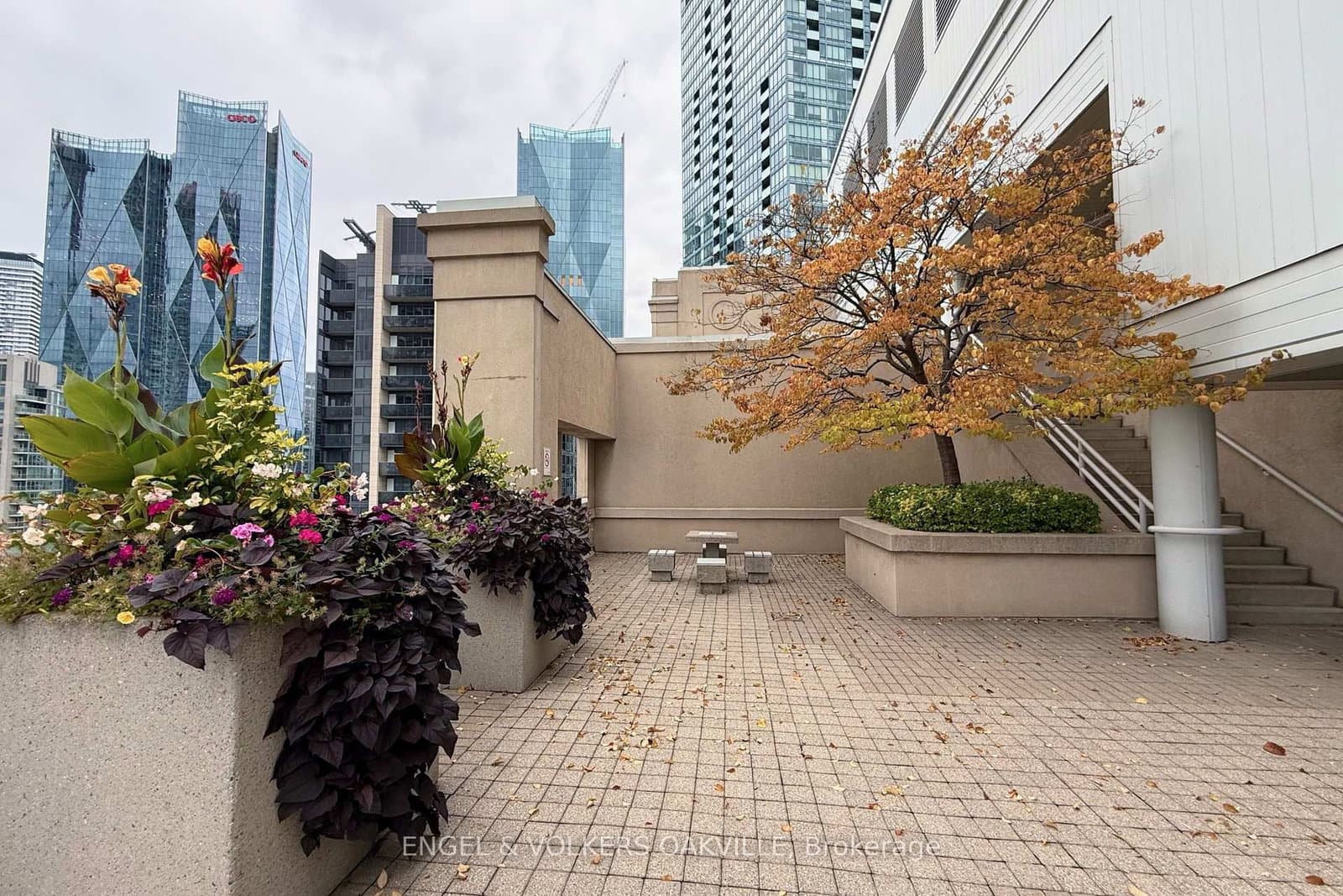 25 The Esplanade, Unit 1811 thumbnail 31