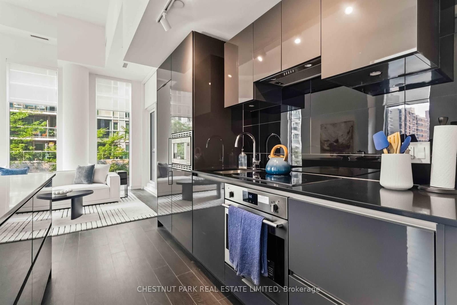 121 St Patrick Street, Unit 201 thumbnail 12