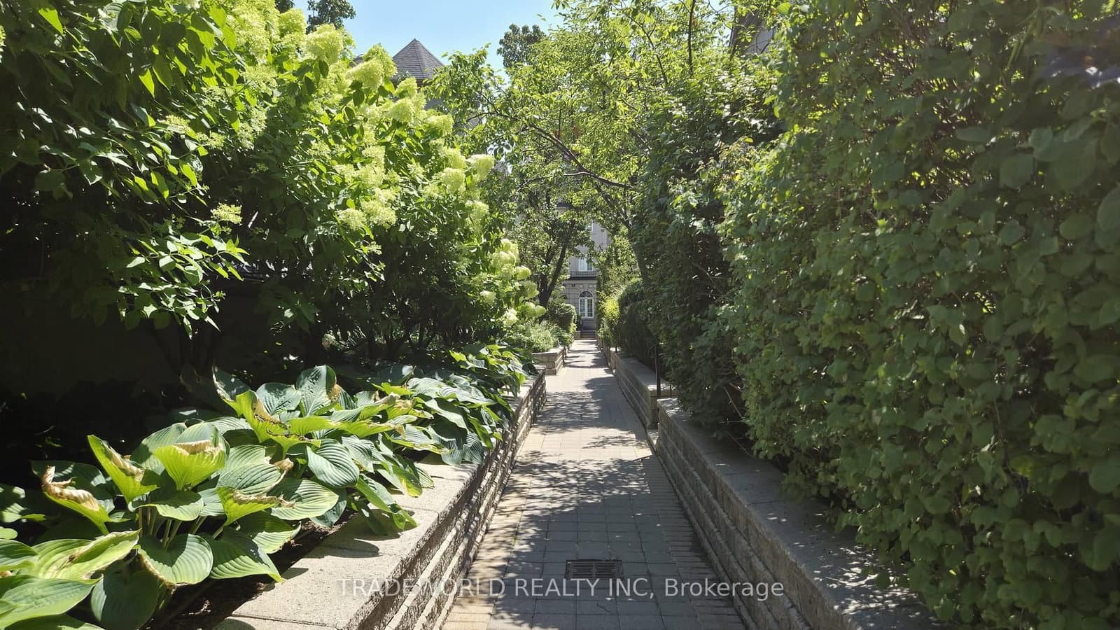 37 Avondale Avenue, Unit 513 thumbnail 3