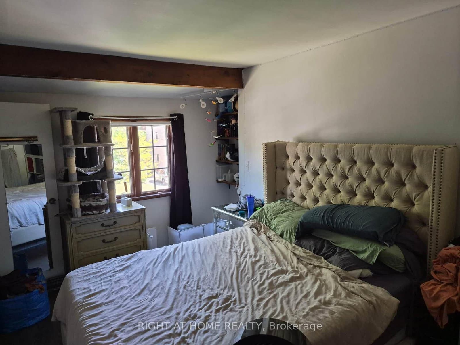 17 Gwendolen Avenue thumbnail 18