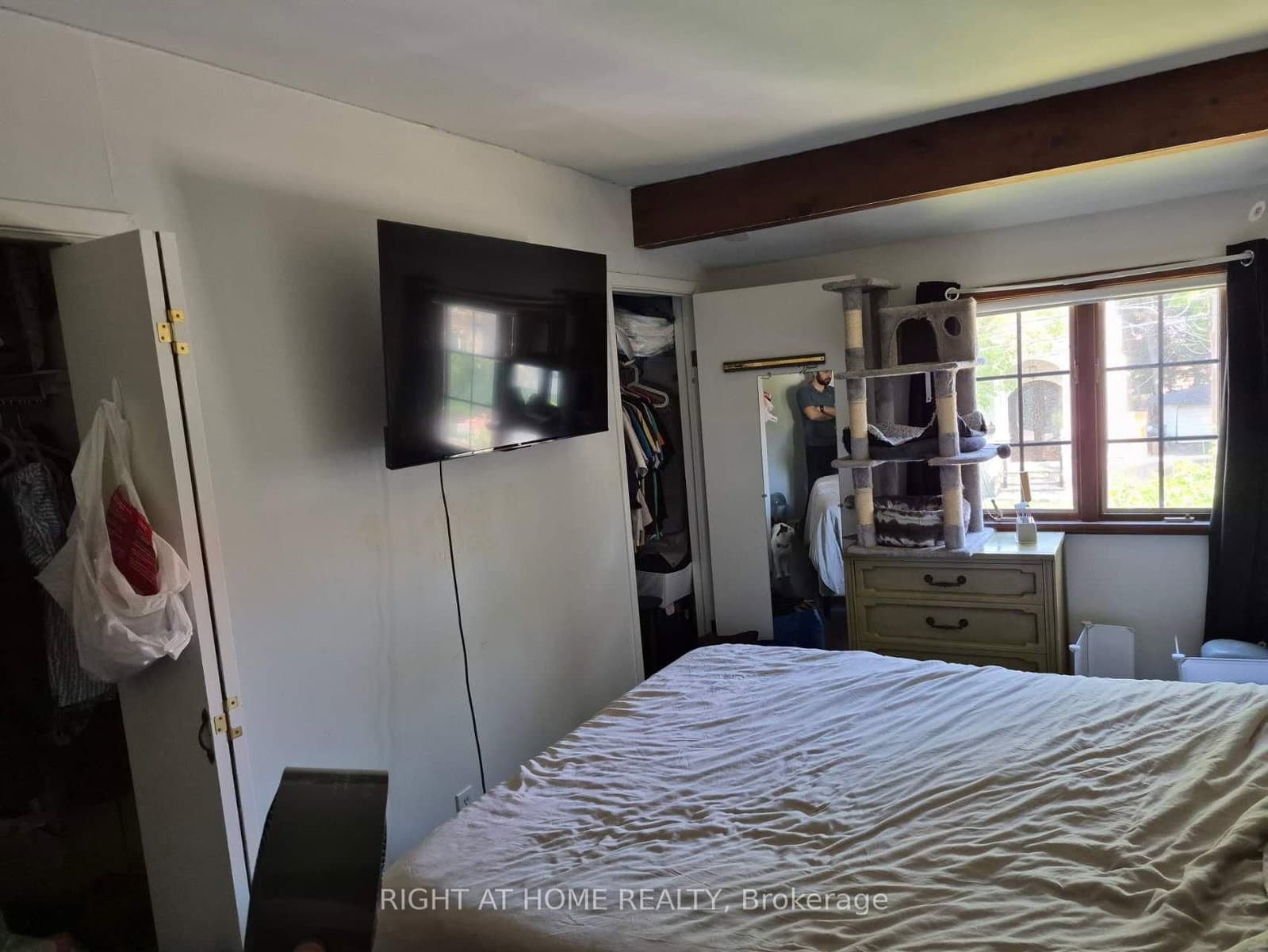 17 Gwendolen Avenue thumbnail 19