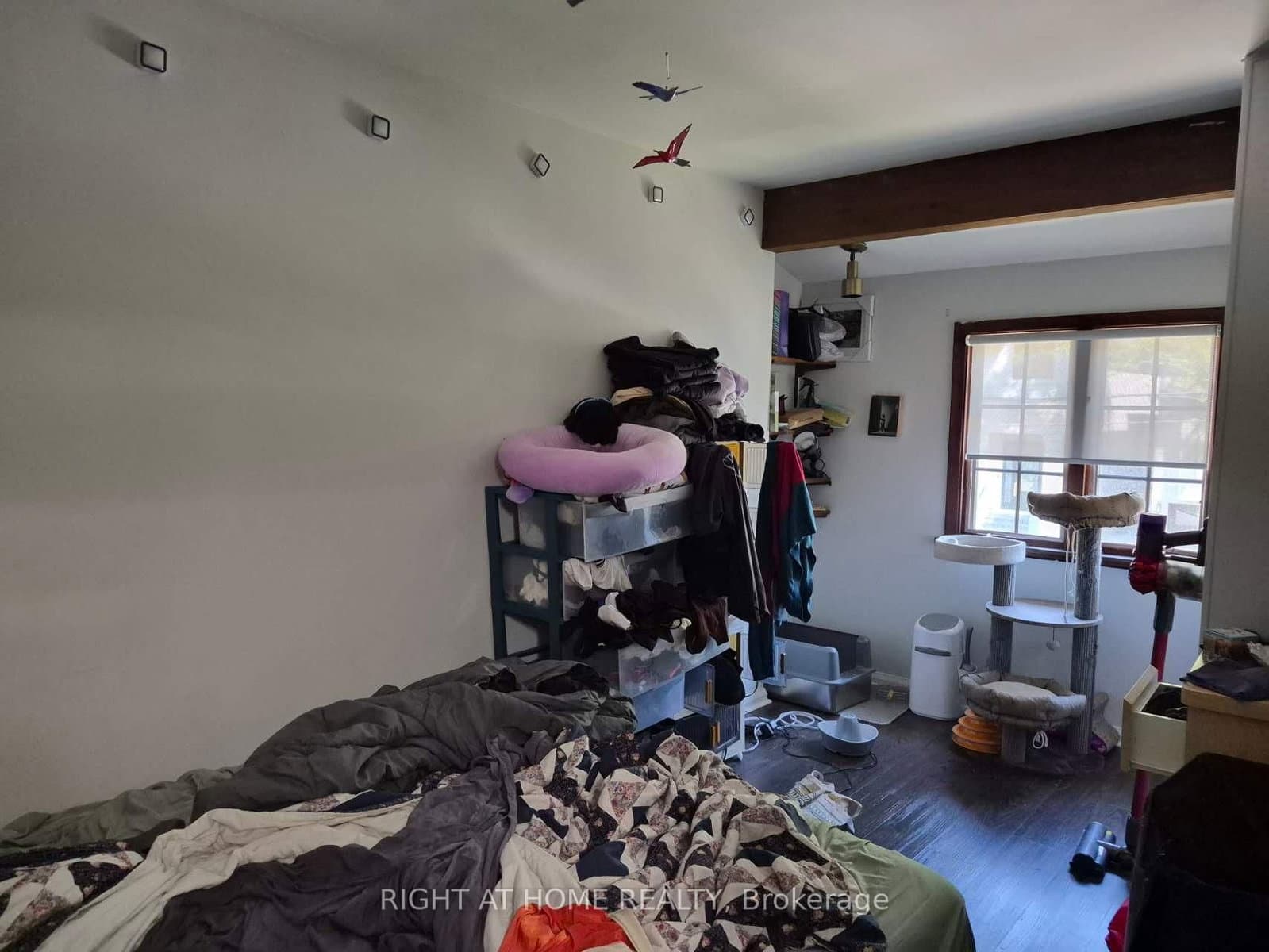 17 Gwendolen Avenue thumbnail 23