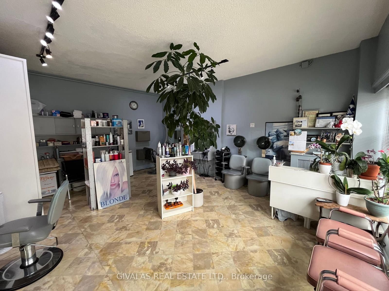465 Manor Road E, Unit B thumbnail 4
