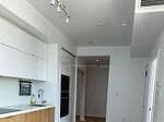 21 ICE BOAT Terrace, Unit 4202 thumbnail 18