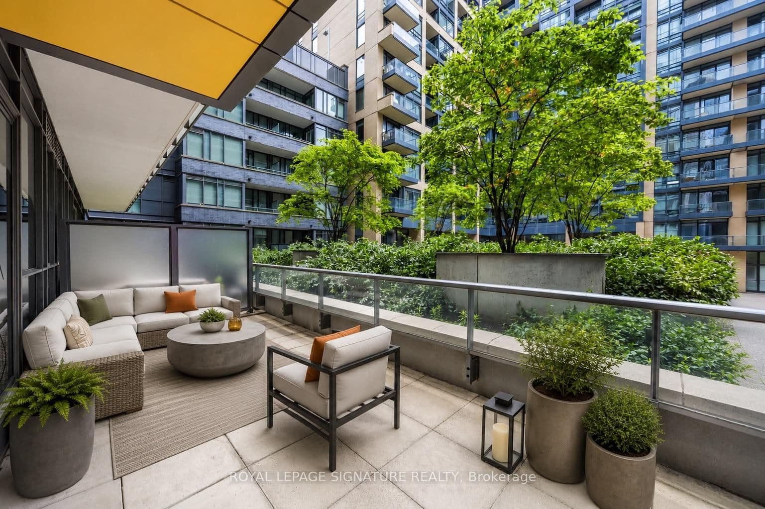 8 Charlotte Street, Unit 202 thumbnail 27
