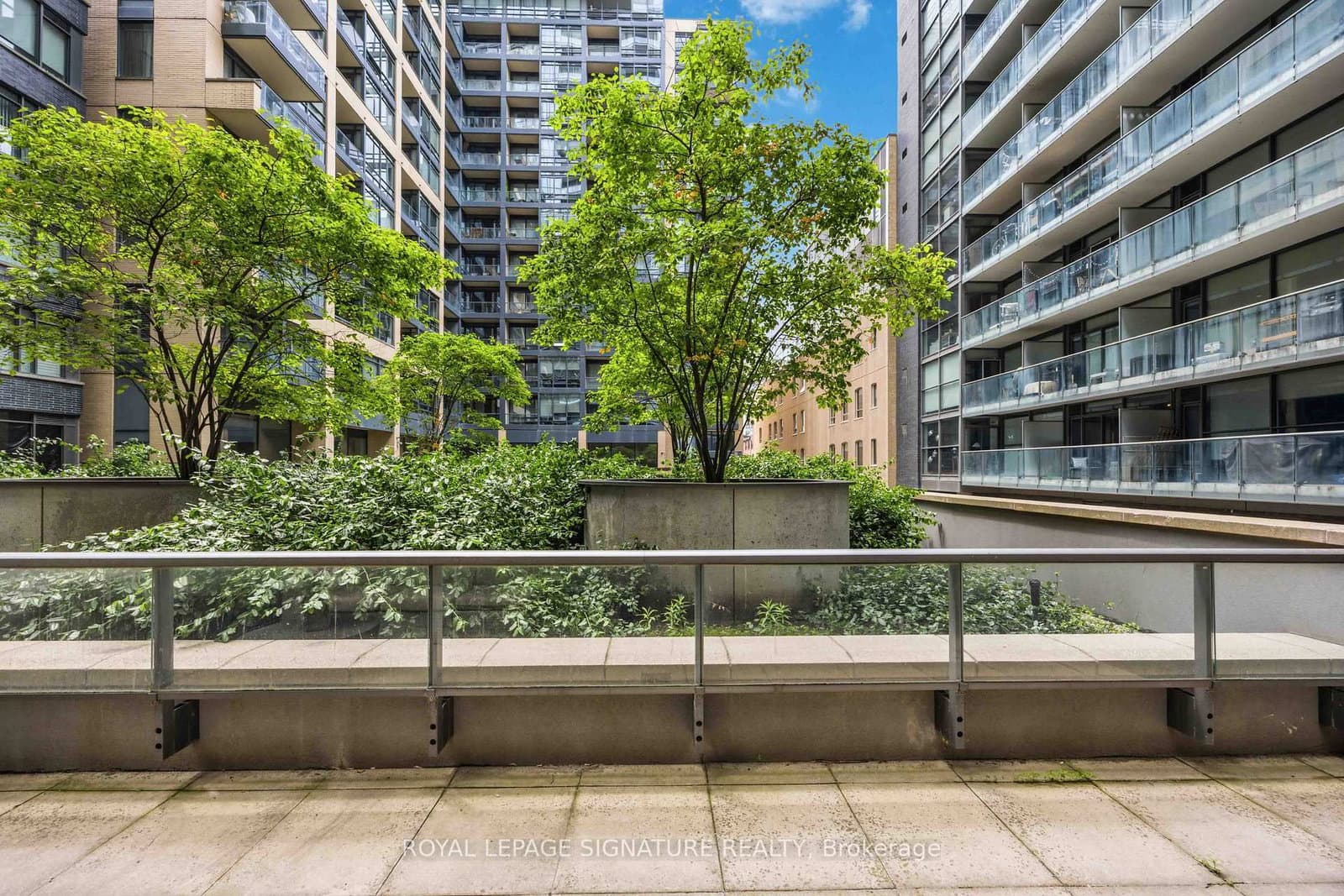 8 Charlotte Street, Unit 202 thumbnail 29