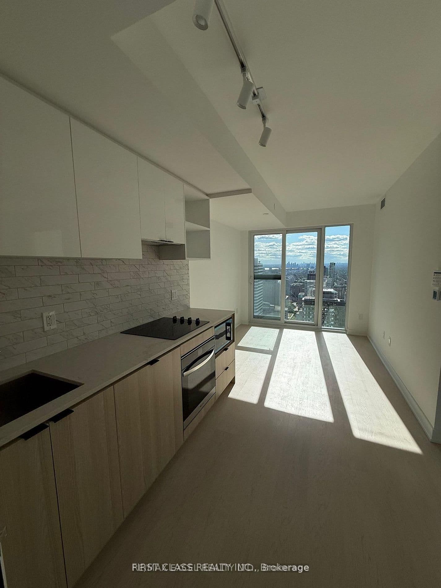 252 Church Street, Unit 5516 thumbnail 15