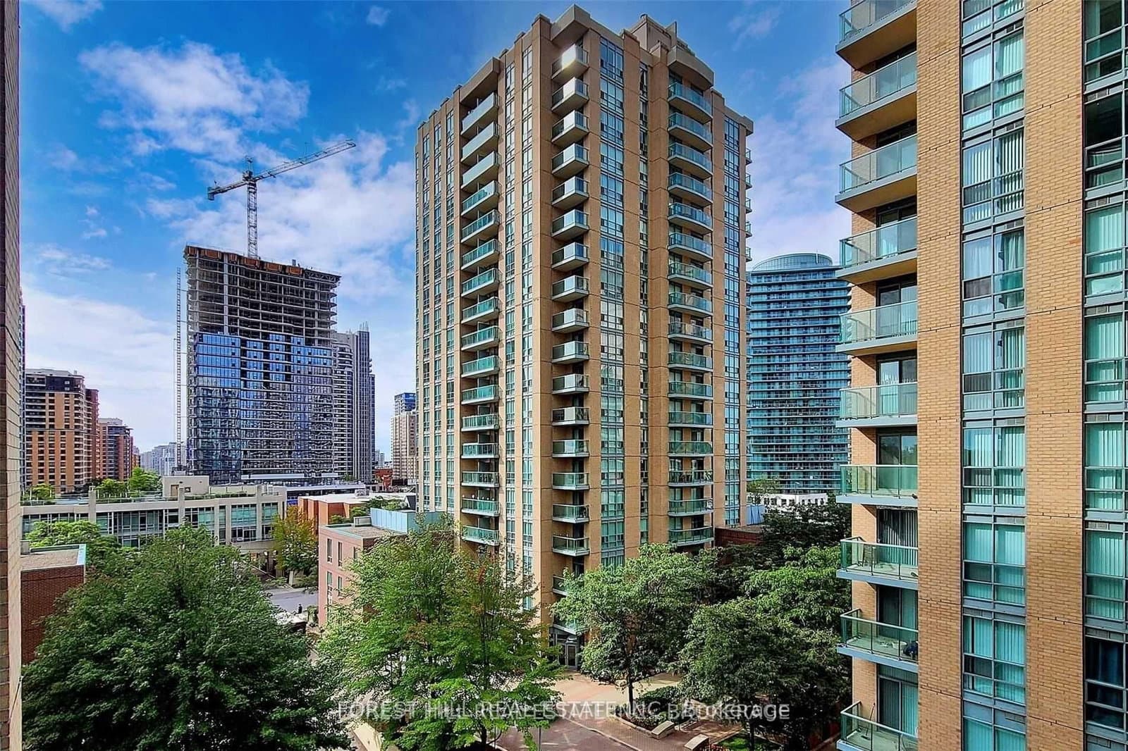 26 Olive Avenue, Unit 705