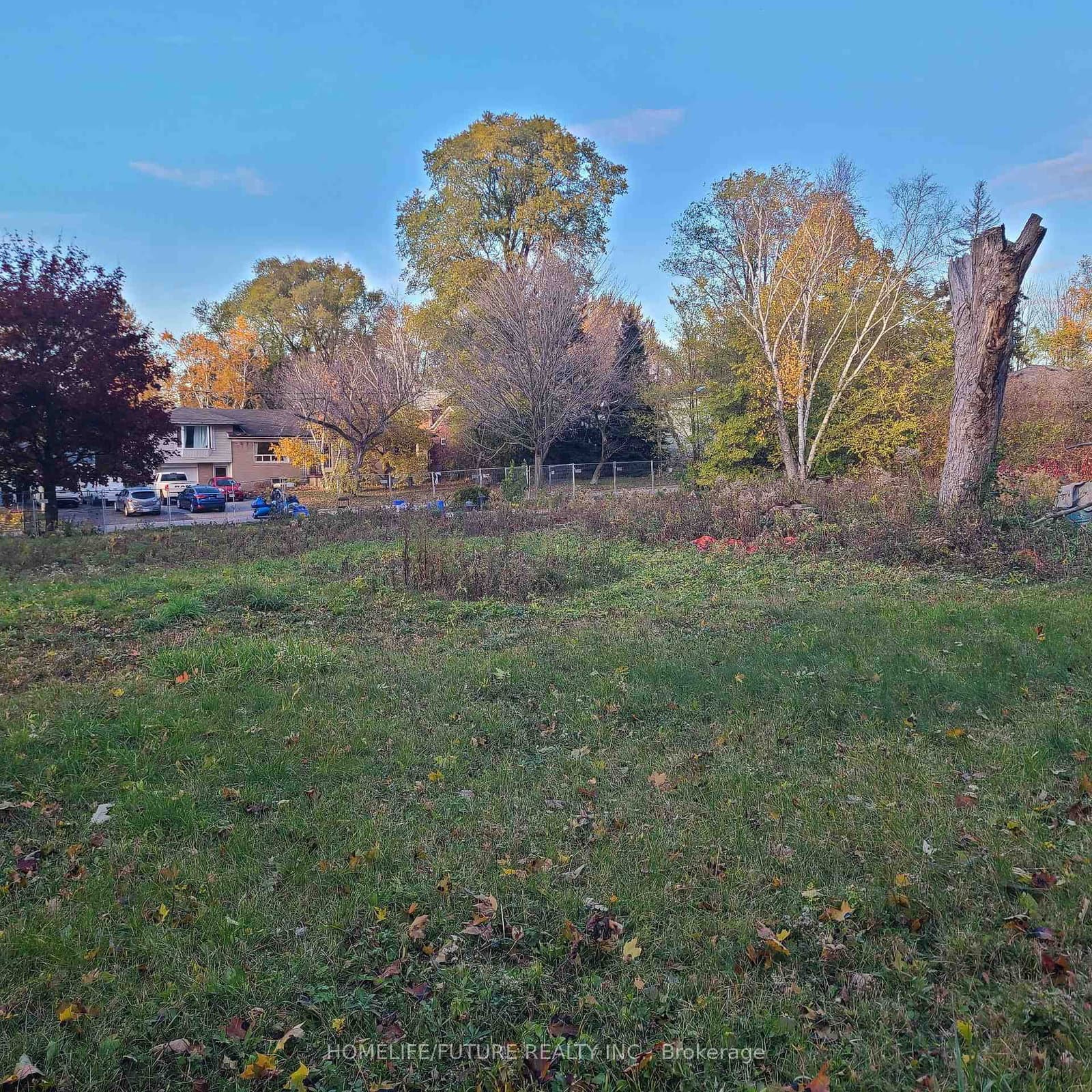 1A View Street thumbnail 4