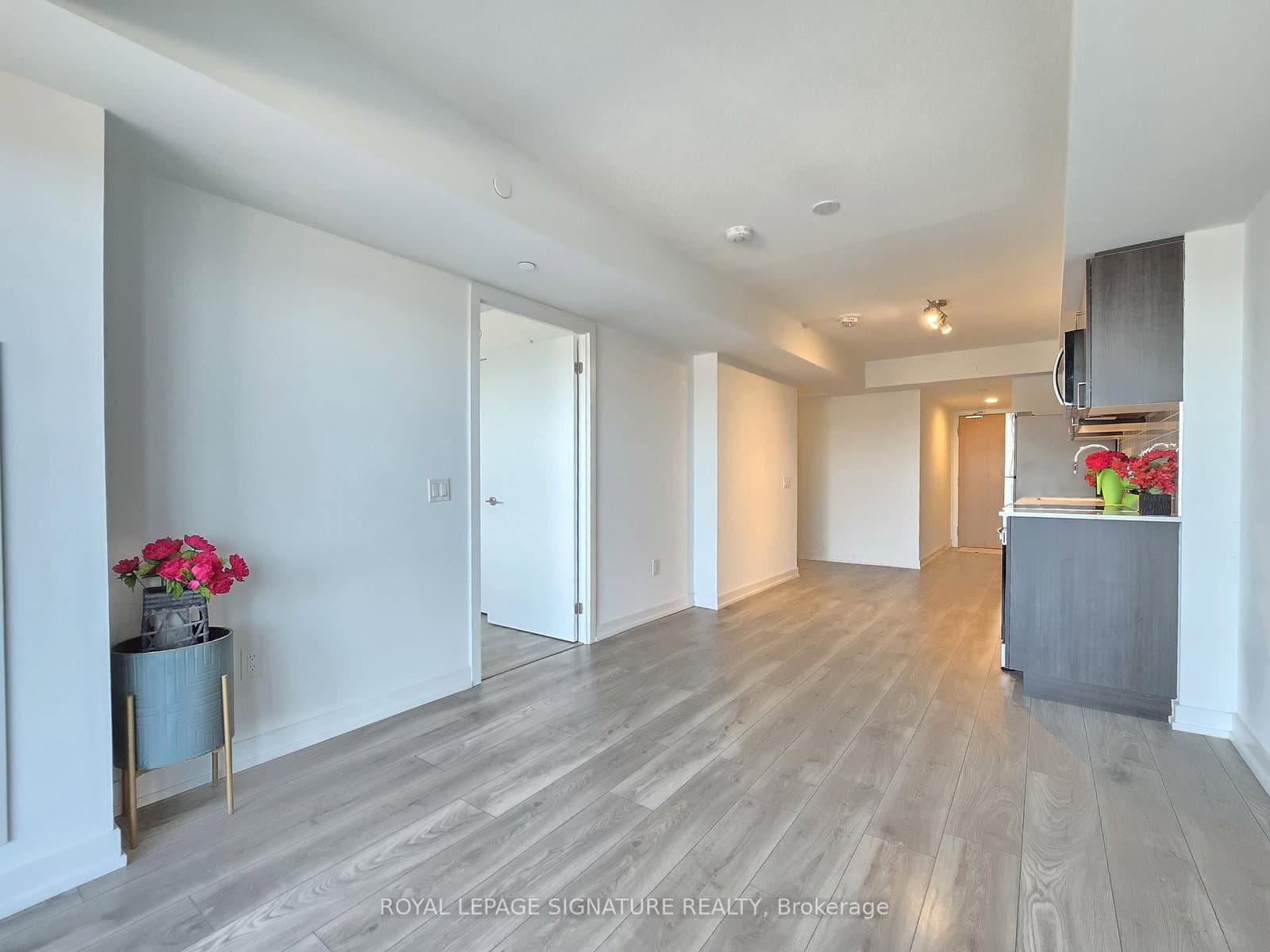 1455 Celebration Drive, Unit 217 thumbnail 7