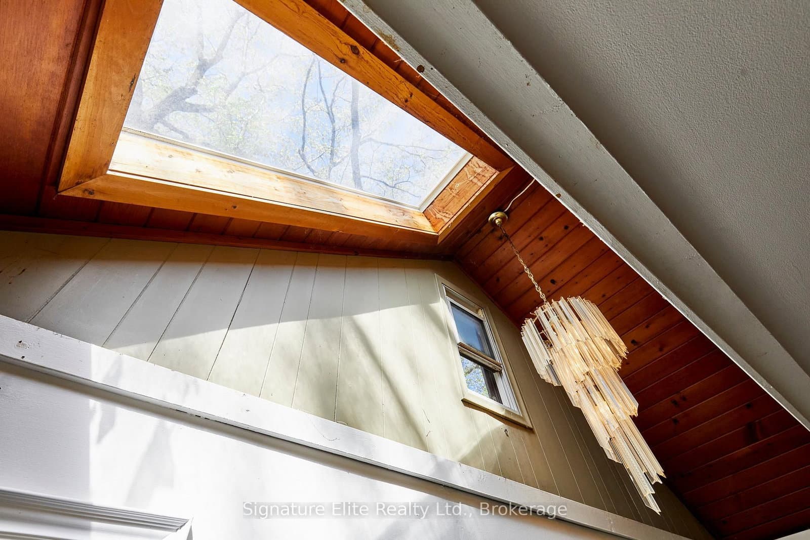 19 Kenworthy Avenue thumbnail 4