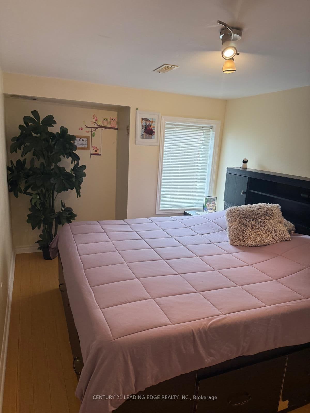 157 Dooley Crescent thumbnail 14