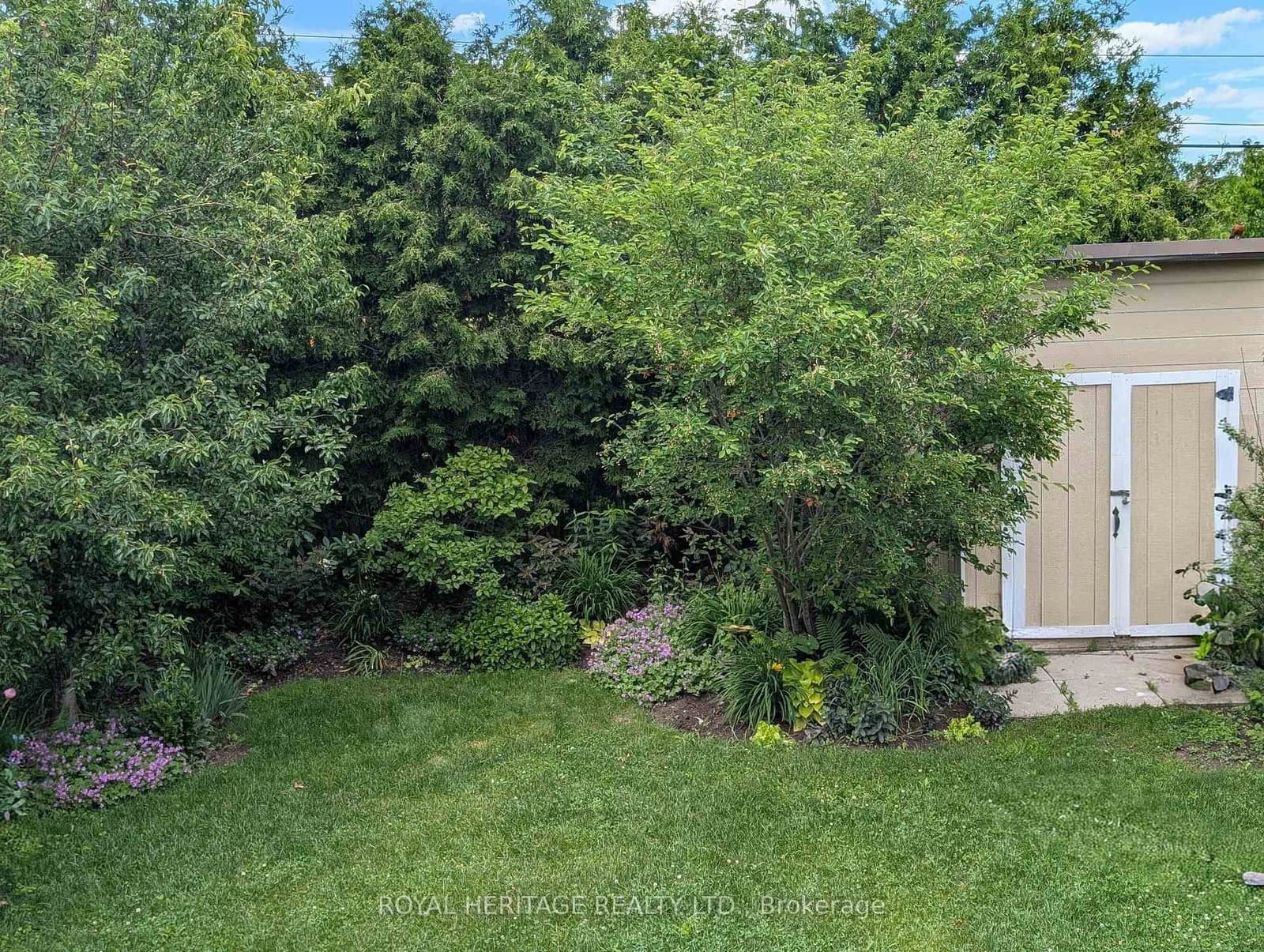 51 Gloria Crescent thumbnail 12