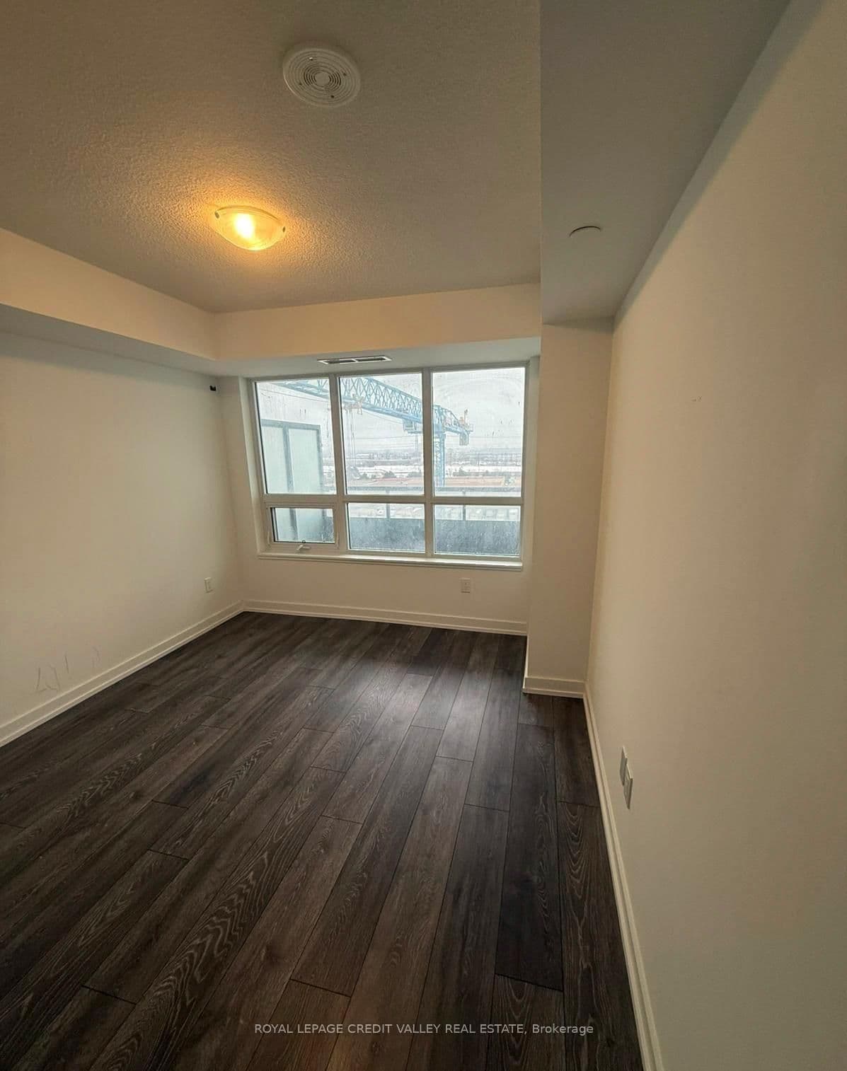 1455 Celebration Drive, Unit 2401 thumbnail 4
