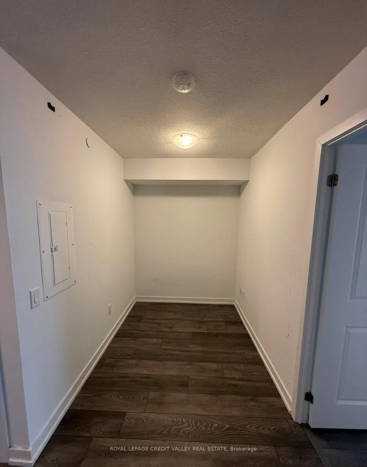 1455 Celebration Drive, Unit 2401 thumbnail 6