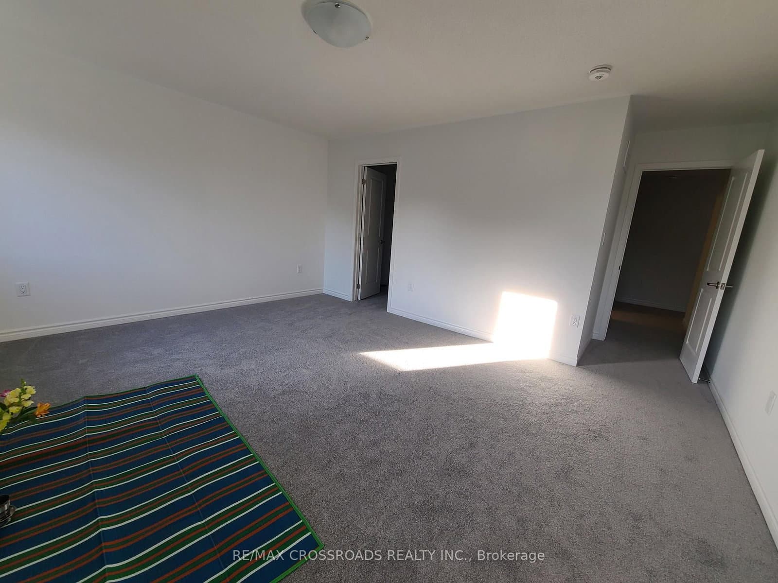 2916 Scotch Pine Lane thumbnail 12